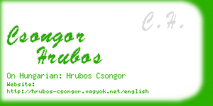 csongor hrubos business card